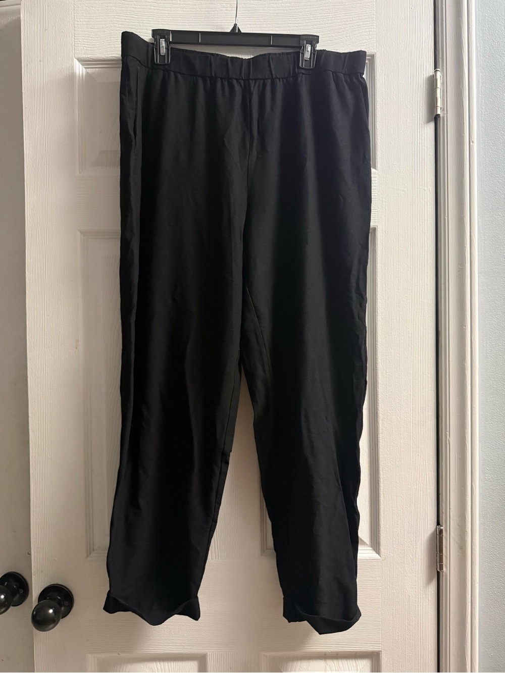 🆕 Eileen Fisher Pull On Wide leg Pants Size L
